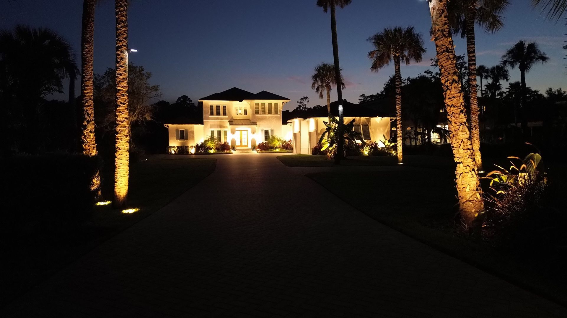 Aerial view of a Jacksonville home with warm architectural and palm uplighting