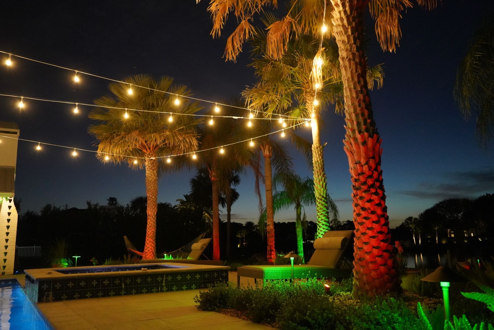 Palm trees with permanent color-changing uplighting